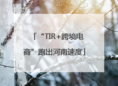 “TIR+跨境电商”跑出河南速度