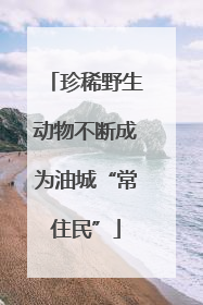 珍稀野生动物不断成为油城“常住民”