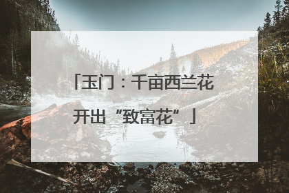 玉门：千亩西兰花开出“致富花”
