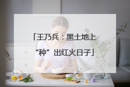 王乃兵：黑土地上“种”出红火日子