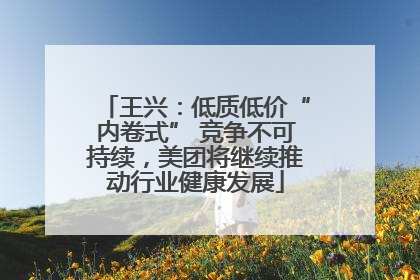 王兴：低质低价“内卷式” 竞争不可持续，美团将继续推动行业健康发展