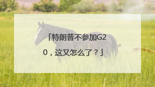 特朗普不参加G20，这又怎么了？