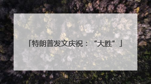 特朗普发文庆祝：“大胜”