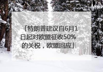 特朗普建议自6月1日起对欧盟征收50%的关税，欧盟回应