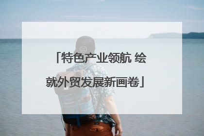 特色产业领航 绘就外贸发展新画卷