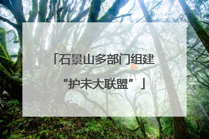 石景山多部门组建“护未大联盟”