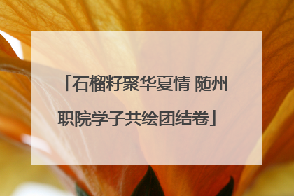 石榴籽聚华夏情 随州职院学子共绘团结卷