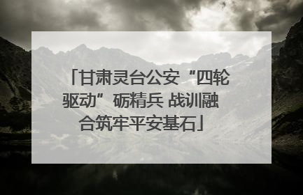 甘肃灵台公安“四轮驱动”砺精兵 战训融合筑牢平安基石