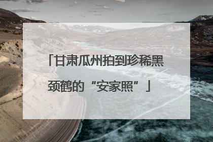 甘肃瓜州拍到珍稀黑颈鹤的“安家照”