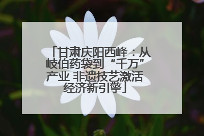 甘肃庆阳西峰：从岐伯药袋到“千万”产业 非遗技艺激活经济新引擎