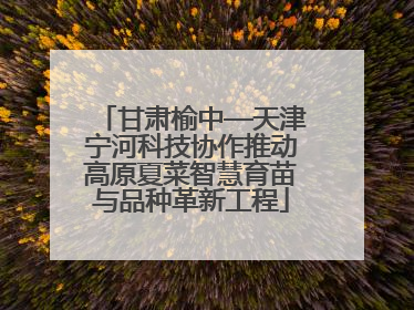 甘肃榆中—天津宁河科技协作推动高原夏菜智慧育苗与品种革新工程