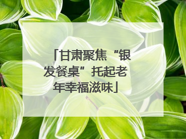 甘肃聚焦“银发餐桌”托起老年幸福滋味