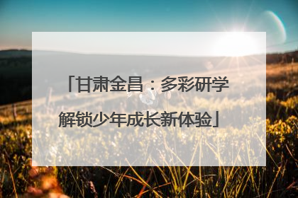 甘肃金昌：多彩研学解锁少年成长新体验