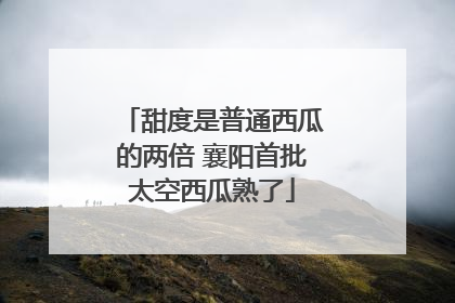 甜度是普通西瓜的两倍 襄阳首批太空西瓜熟了