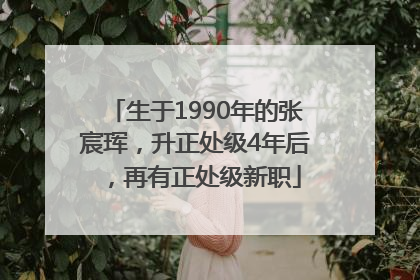 生于1990年的张宸珲，升正处级4年后，再有正处级新职