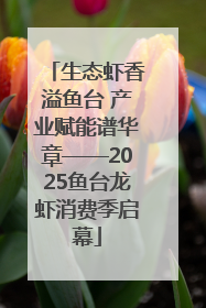 生态虾香溢鱼台 产业赋能谱华章——2025鱼台龙虾消费季启幕