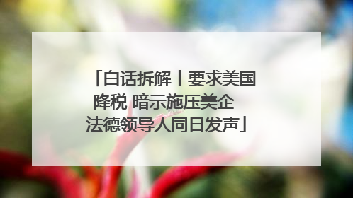 白话拆解丨要求美国降税 暗示施压美企 法德领导人同日发声