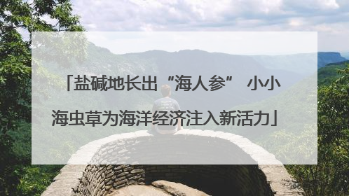 盐碱地长出“海人参” 小小海虫草为海洋经济注入新活力