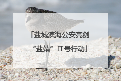 盐城滨海公安亮剑“盐靖”Ⅱ号行动