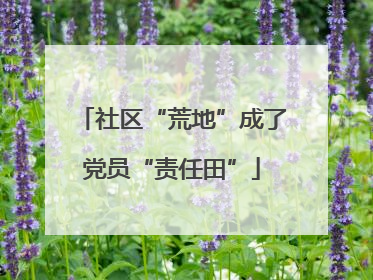 社区“荒地”成了党员“责任田”