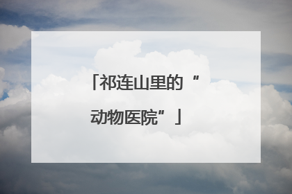 祁连山里的“动物医院”