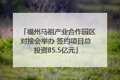福州马祖产业合作园区对接会举办 签约项目总投资85.5亿元