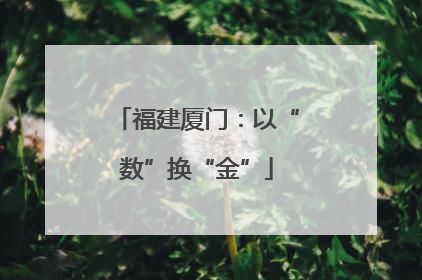 福建厦门：以“数”换“金”