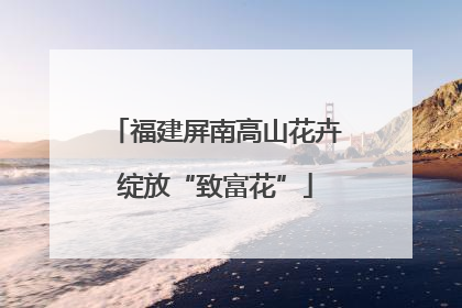 福建屏南高山花卉绽放“致富花”
