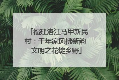 福建洛江马甲新民村：千年家风拂新韵 文明之花绽乡野