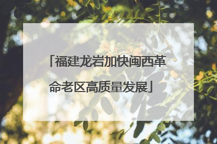 福建龙岩加快闽西革命老区高质量发展