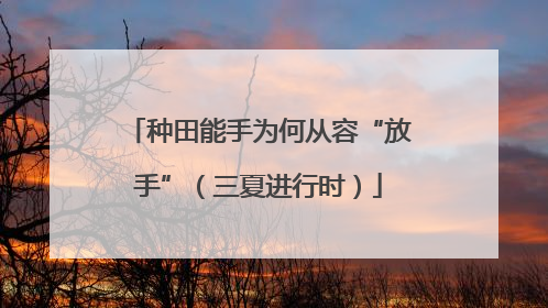 种田能手为何从容“放手”（三夏进行时）