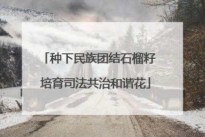 种下民族团结石榴籽 培育司法共治和谐花