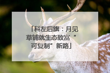 科左后旗：月见草铺就生态致富“可复制”新路