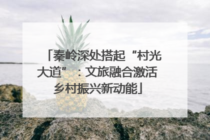 秦岭深处搭起“村光大道”：文旅融合激活乡村振兴新动能