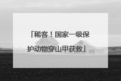 稀客！国家一级保护动物穿山甲获救