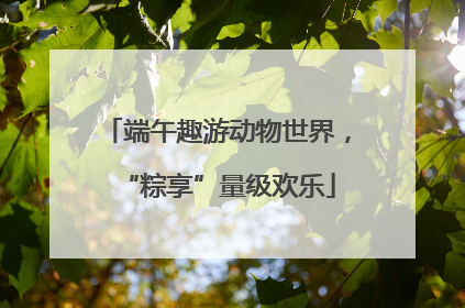 端午趣游动物世界，“粽享”量级欢乐