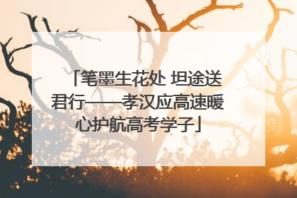 笔墨生花处 坦途送君行——孝汉应高速暖心护航高考学子