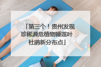 第三个！贵州发现珍稀濒危植物睡莲叶杜鹃新分布点