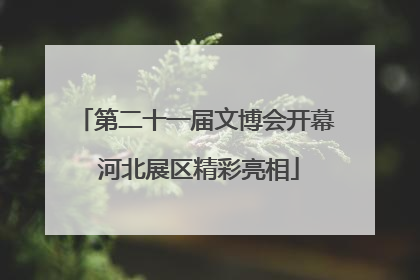 第二十一届文博会开幕 河北展区精彩亮相