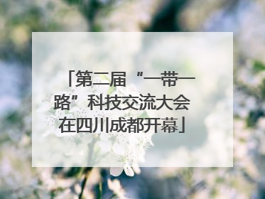 第二届“一带一路”科技交流大会在四川成都开幕