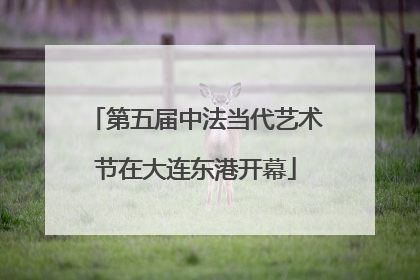 第五届中法当代艺术节在大连东港开幕
