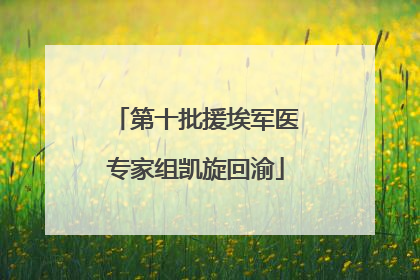 第十批援埃军医专家组凯旋回渝
