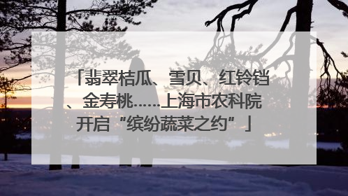 翡翠桔瓜、雪贝、红铃铛、金寿桃……上海市农科院开启“缤纷蔬菜之约”