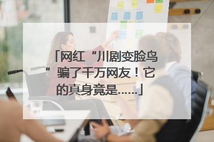 网红“川剧变脸鸟”骗了千万网友！它的真身竟是……
