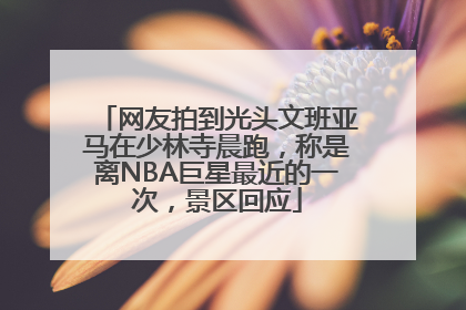 网友拍到光头文班亚马在少林寺晨跑，称是离NBA巨星最近的一次，景区回应