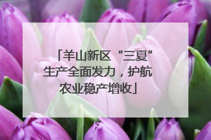 羊山新区“三夏”生产全面发力，护航农业稳产增收