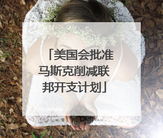 美国会批准马斯克削减联邦开支计划