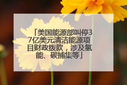 美国能源部叫停37亿美元清洁能源项目财政拨款，涉及氢能、碳捕集等