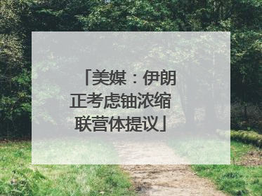 美媒：伊朗正考虑铀浓缩联营体提议