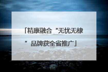 精康融合“无忧无棣”品牌获全省推广